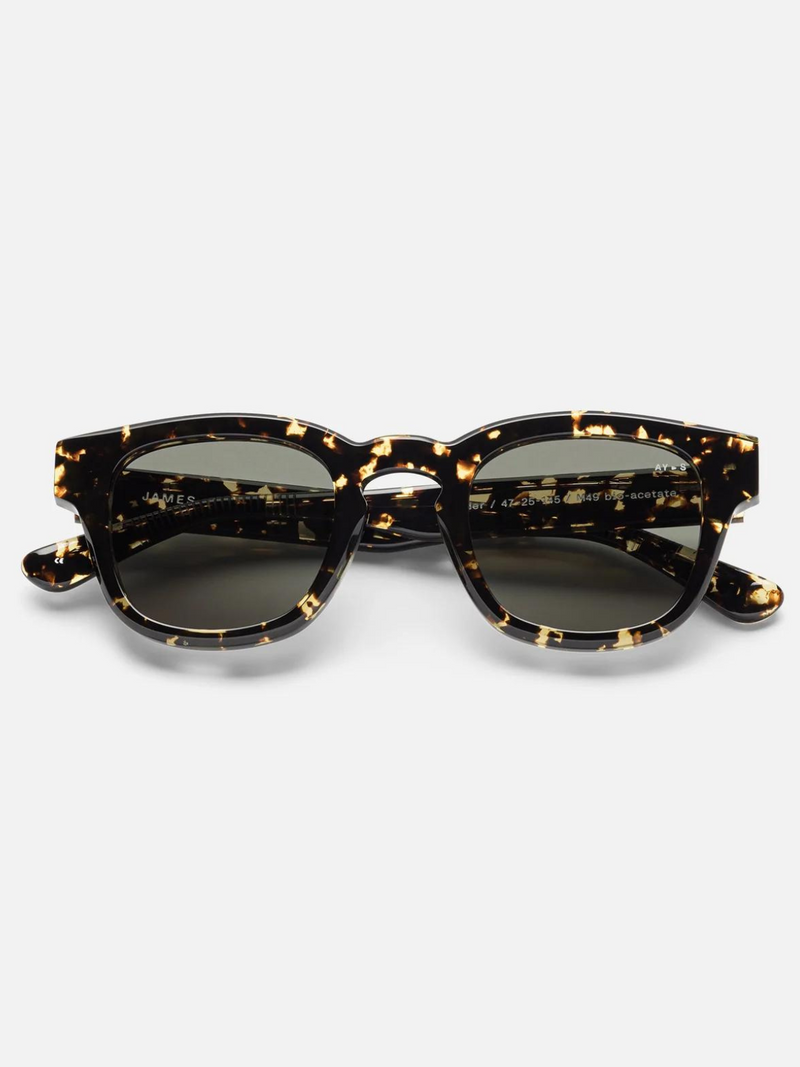 Yonder Sunglasses | Transparent Havana